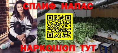 ПСИЛОЦИБИНОВЫЕ ГРИБЫ Краснознаменск