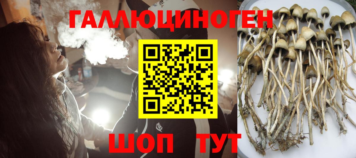 Галлюциногенные грибы Psilocybine cubensis  Вход с VPN  Видное 